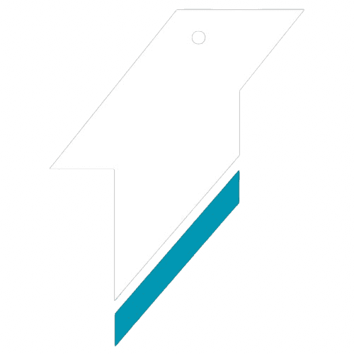 birdswims logo